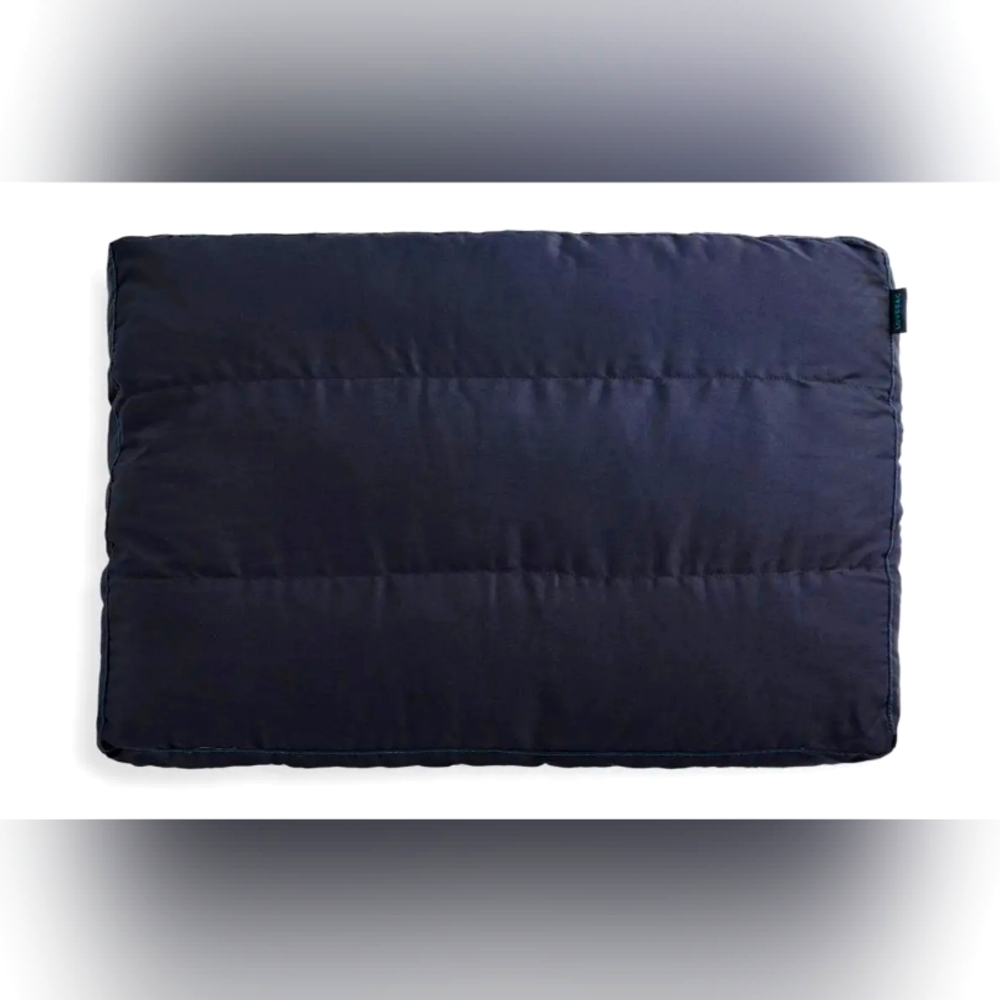 Sactionals Back Pillow Insert: Lovesoft